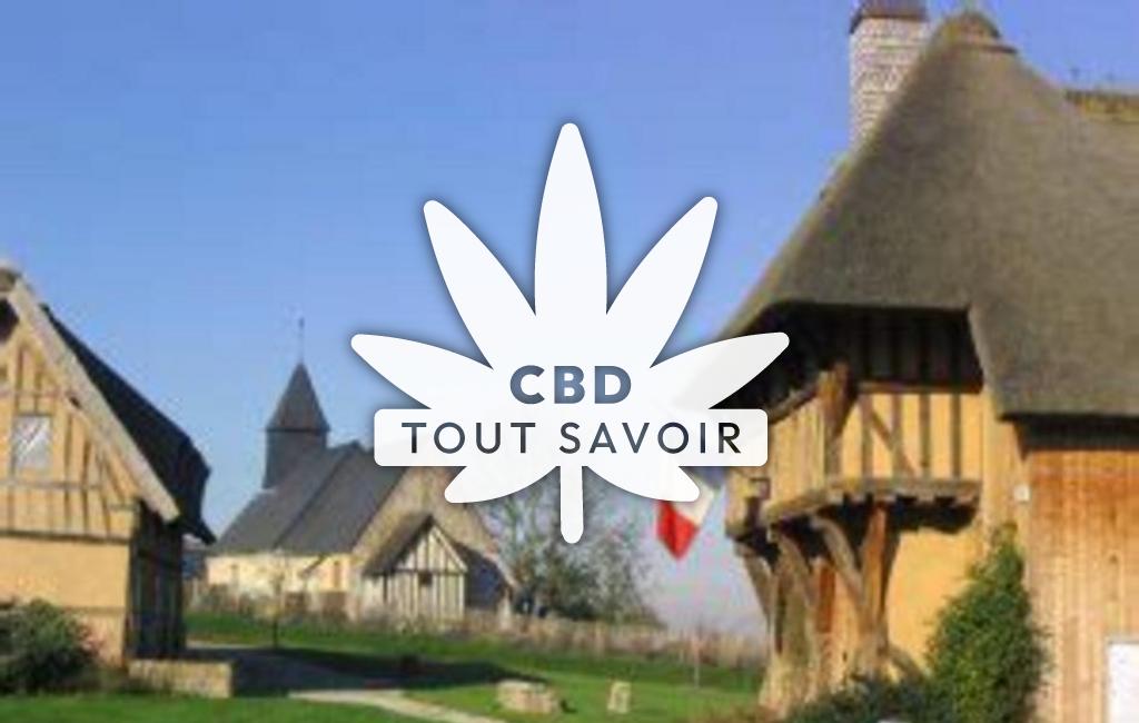 Village à Saint-Sulpice-de-Grimbouville avec feuille Cannabis CBD