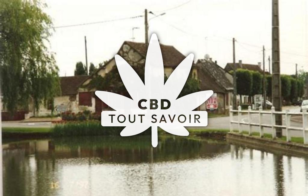 Village à Coudres avec feuille Cannabis CBD