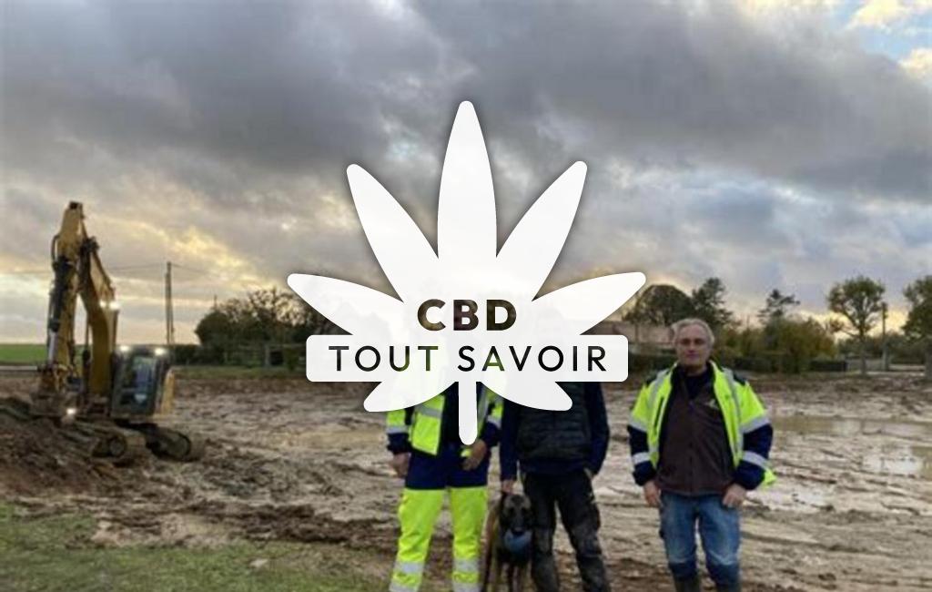 Village à Foucrainville avec feuille Cannabis CBD
