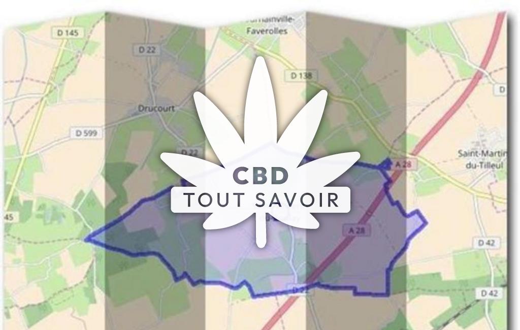 Village à Saint-Vincent-du-Boulay avec feuille Cannabis CBD
