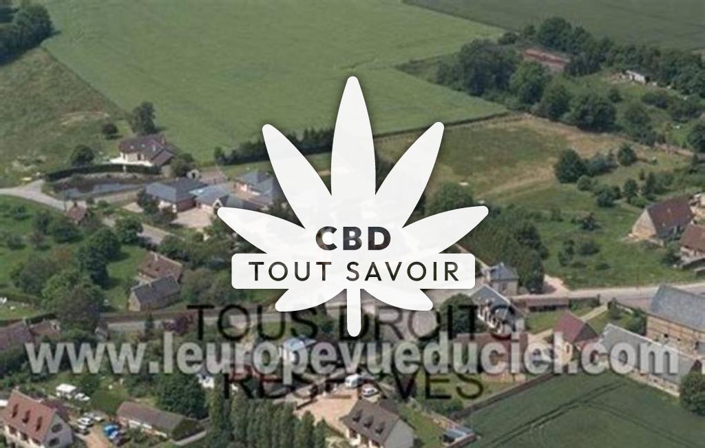 Village à Sylvains-les-Moulins avec feuille Cannabis CBD