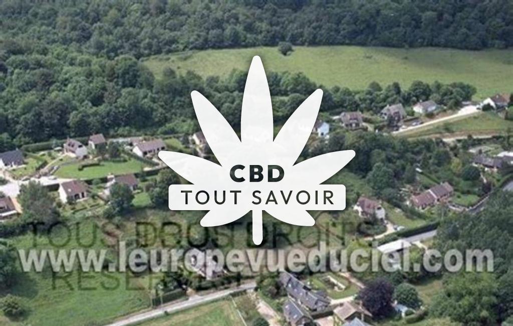 Village à Saint-Philbert-sur-Risle avec feuille Cannabis CBD
