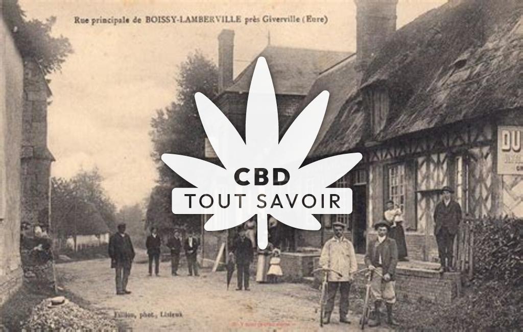 Village à Boissy-Lamberville avec feuille Cannabis CBD