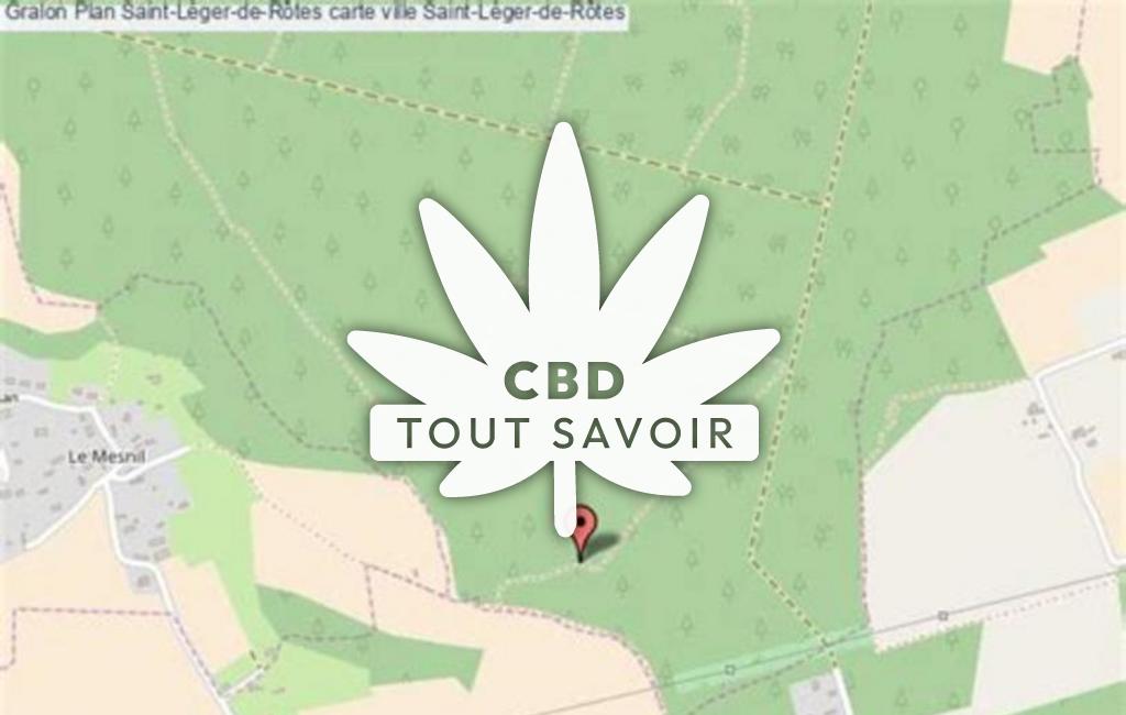 Village à Saint-Leger-de-Rotes avec feuille Cannabis CBD