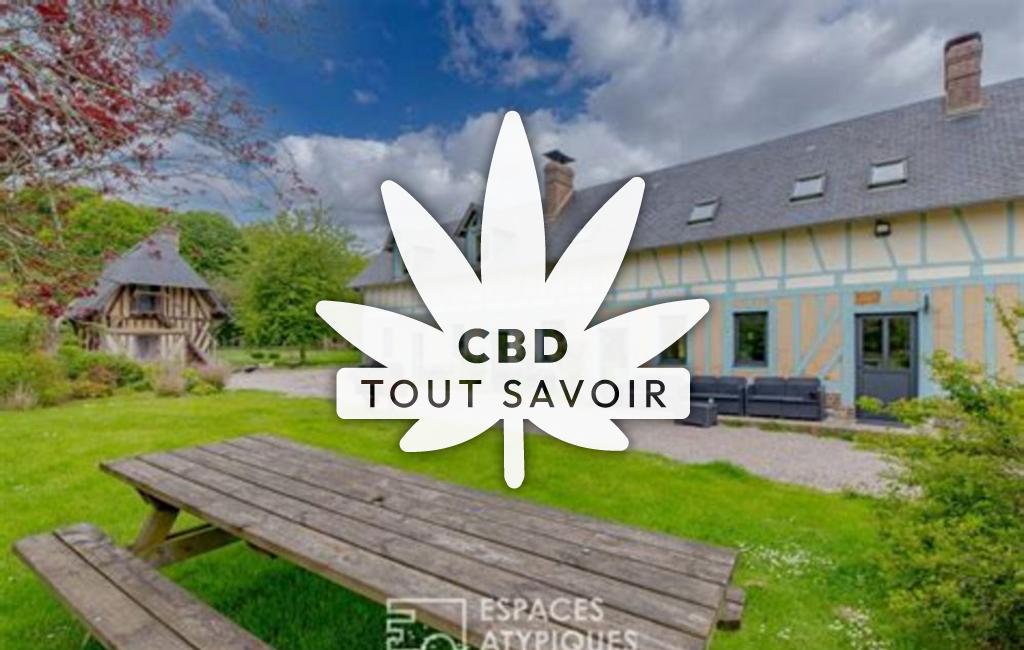 Village à Flancourt-Crescy-en-Roumois avec feuille Cannabis CBD