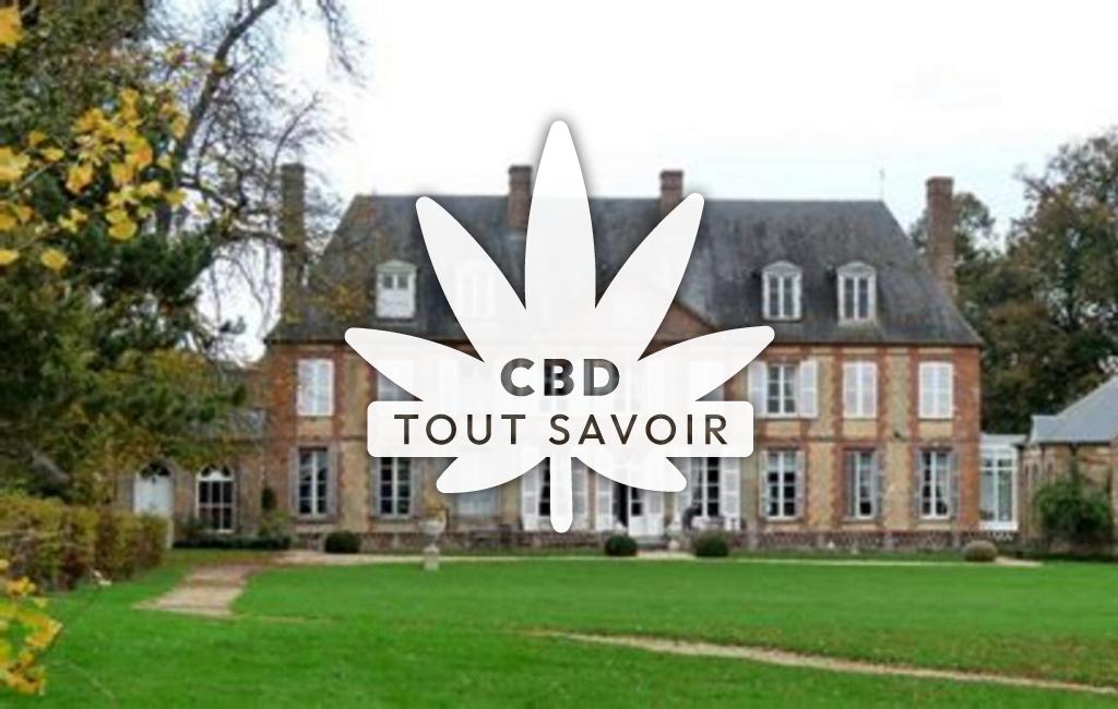 Village à La-Haye-Saint-Sylvestre avec feuille Cannabis CBD
