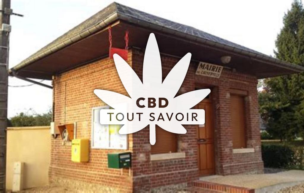 Village à Cauverville-en-Roumois avec feuille Cannabis CBD