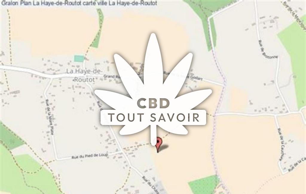 Village à La-Haye-de-Routot avec feuille Cannabis CBD