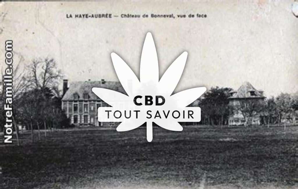Village à La-Haye-Aubree avec feuille Cannabis CBD