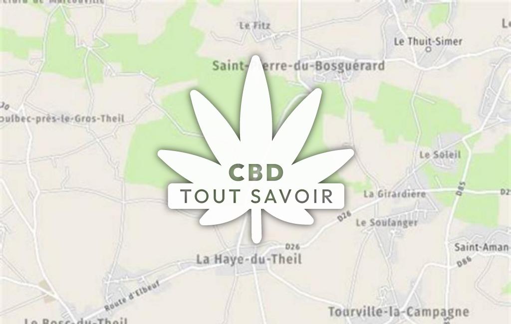 Village à La-Haye-du-Theil avec feuille Cannabis CBD
