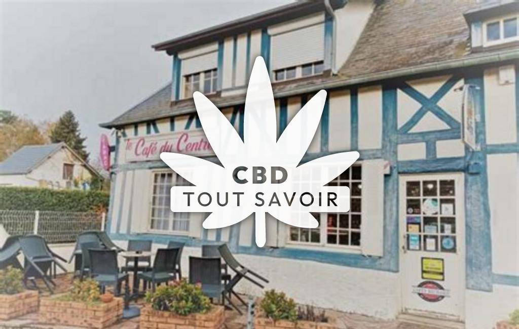 Village à La-Saussaye avec feuille Cannabis CBD
