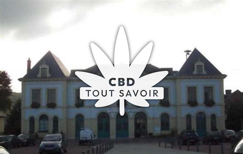 Village à Fleury-sur-Andelle avec feuille Cannabis CBD