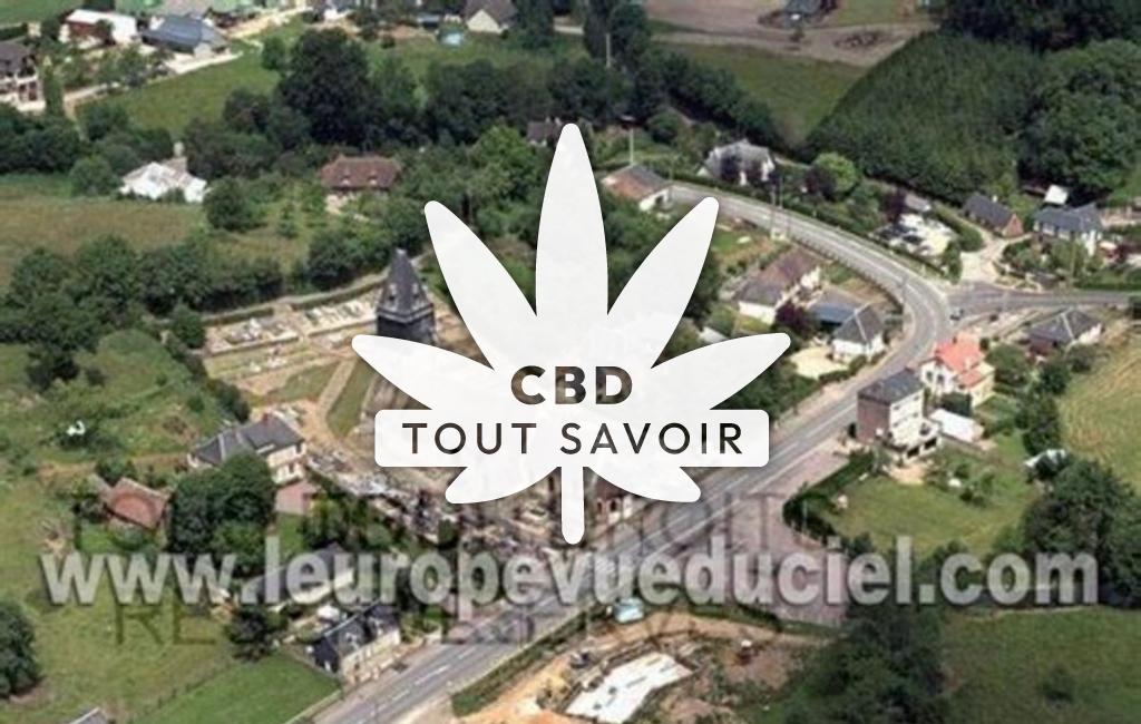 Village à Montreuil-l'Argille avec feuille Cannabis CBD