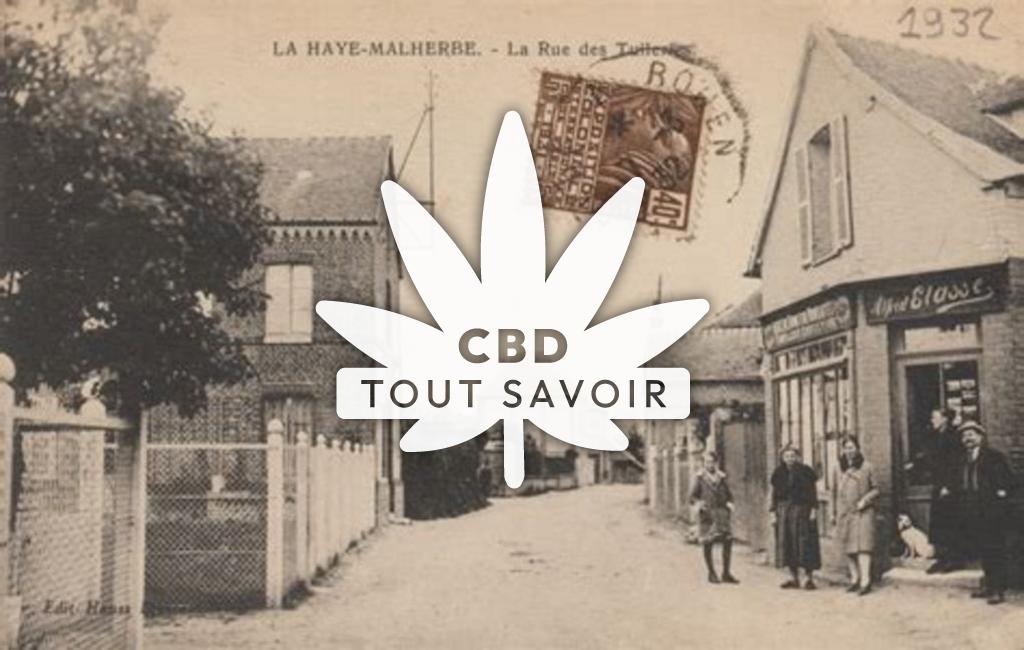 Village à La-Haye-Malherbe avec feuille Cannabis CBD
