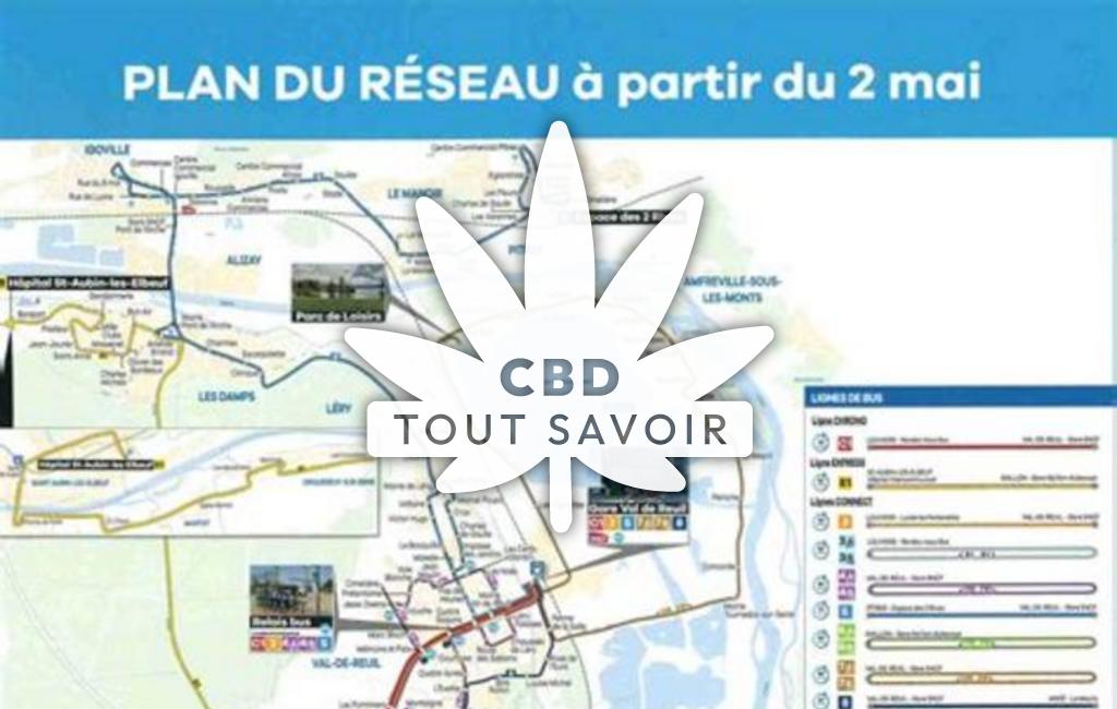 Village à La-Vacherie avec feuille Cannabis CBD