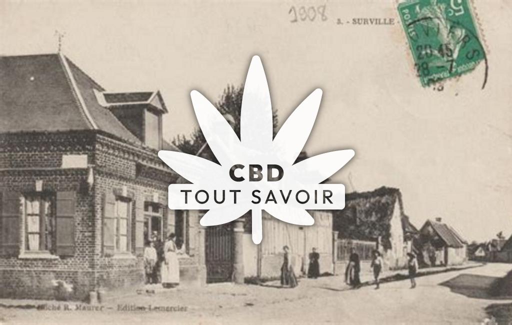 Village à Surville avec feuille Cannabis CBD