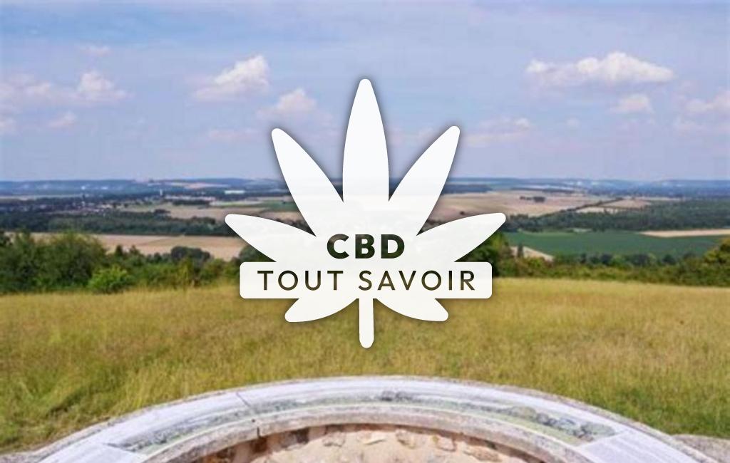 Village à Vironvay avec feuille Cannabis CBD