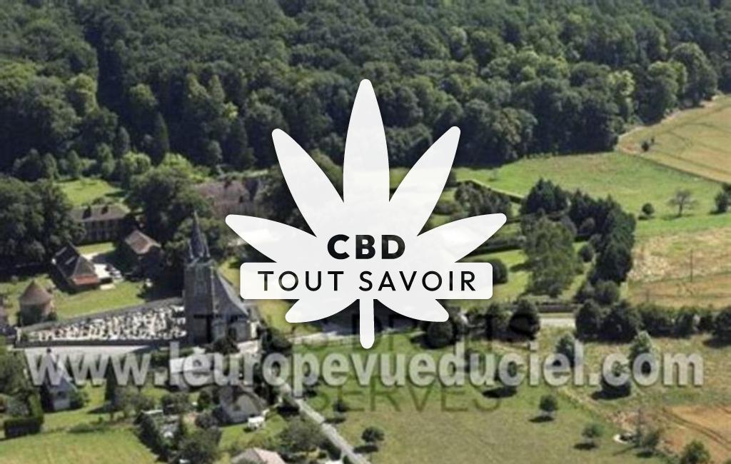 Village à Fontaine-l'Abbe avec feuille Cannabis CBD