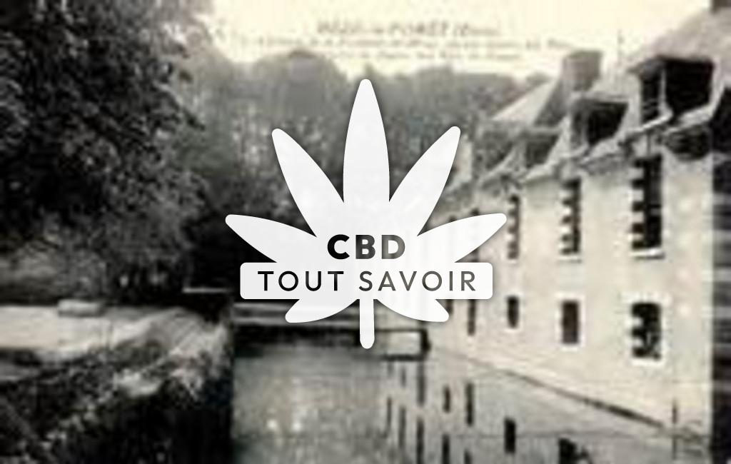 Village à Bezu-la-Foret avec feuille Cannabis CBD