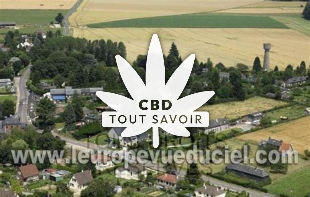 Village à Le-Tronquay avec feuille Cannabis CBD