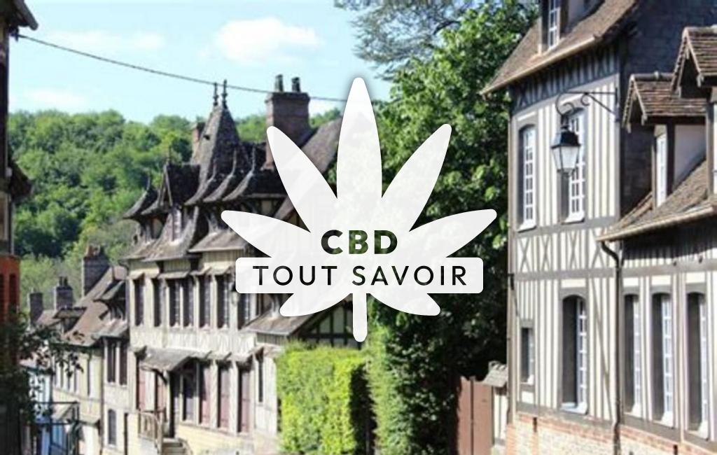 Village à Lyons-la-Foret avec feuille Cannabis CBD