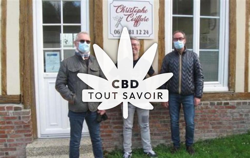 Village à Toutainville avec feuille Cannabis CBD