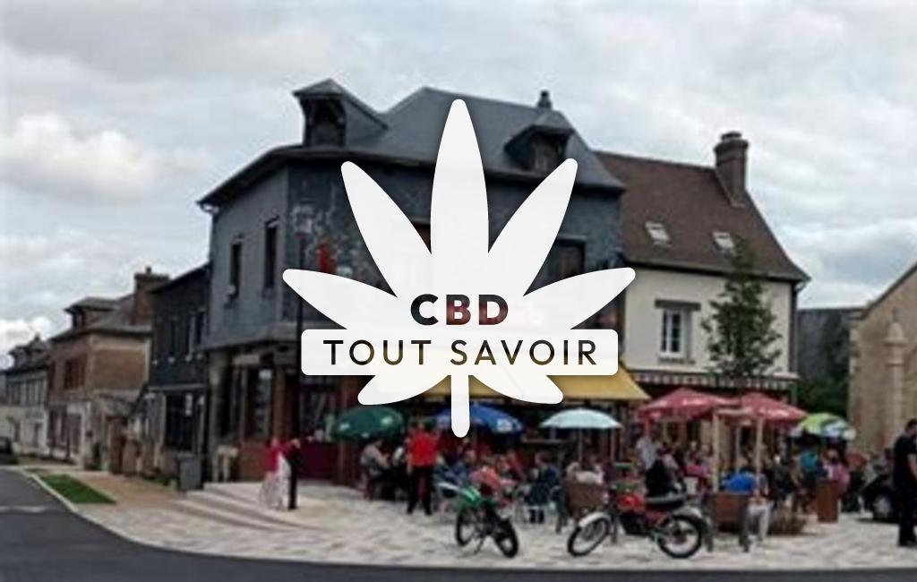 Village à Boissey-le-Chatel avec feuille Cannabis CBD