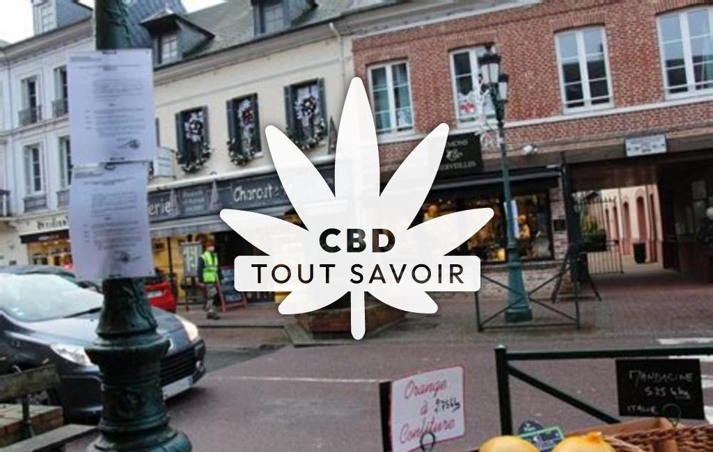 Village à Grand-Bourgtheroulde avec feuille Cannabis CBD