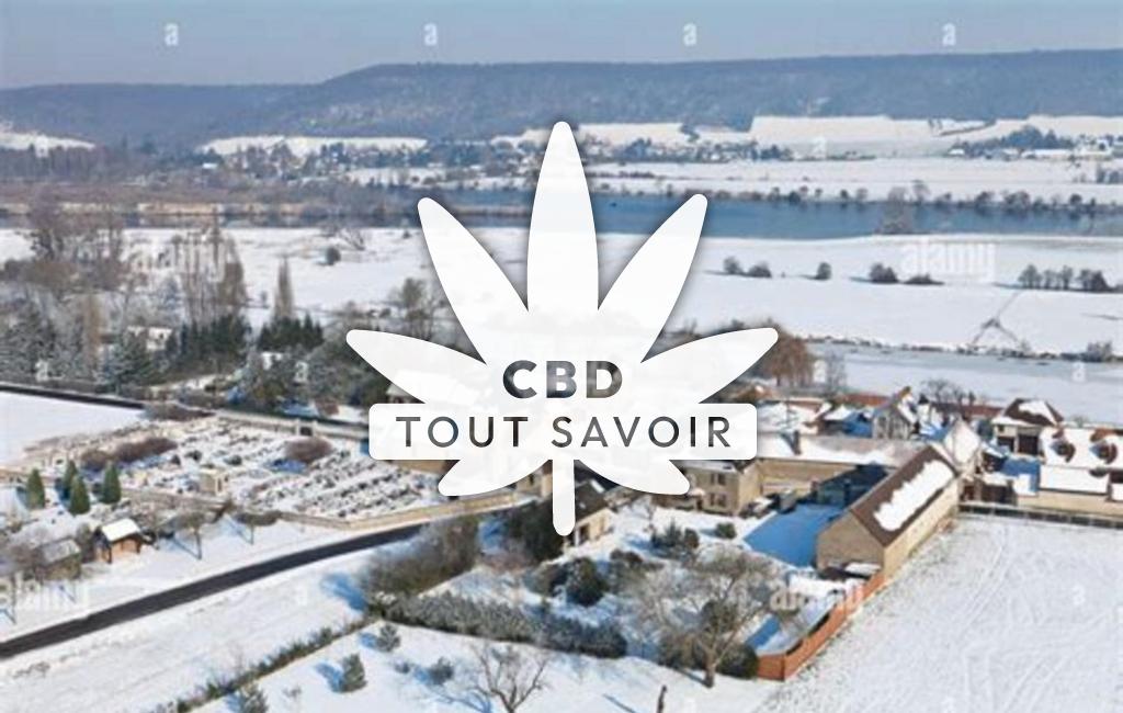 Village à Saint-Pierre-la-Garenne avec feuille Cannabis CBD