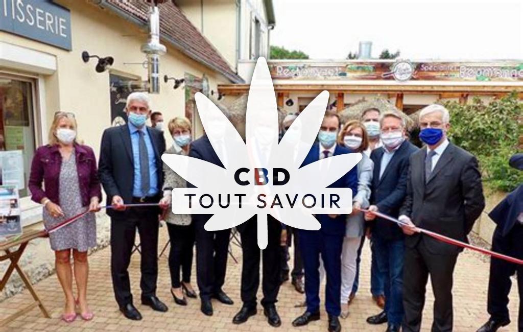 Village à Bois-Jerome-Saint-Ouen avec feuille Cannabis CBD