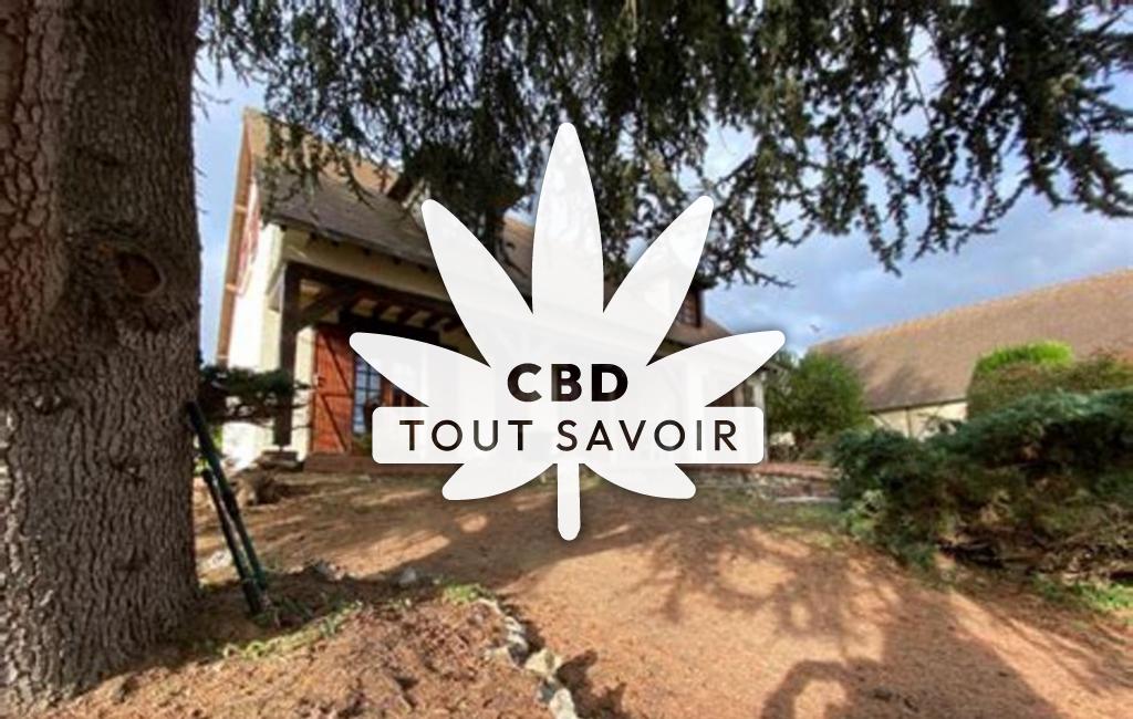 Village à Gasny avec feuille Cannabis CBD
