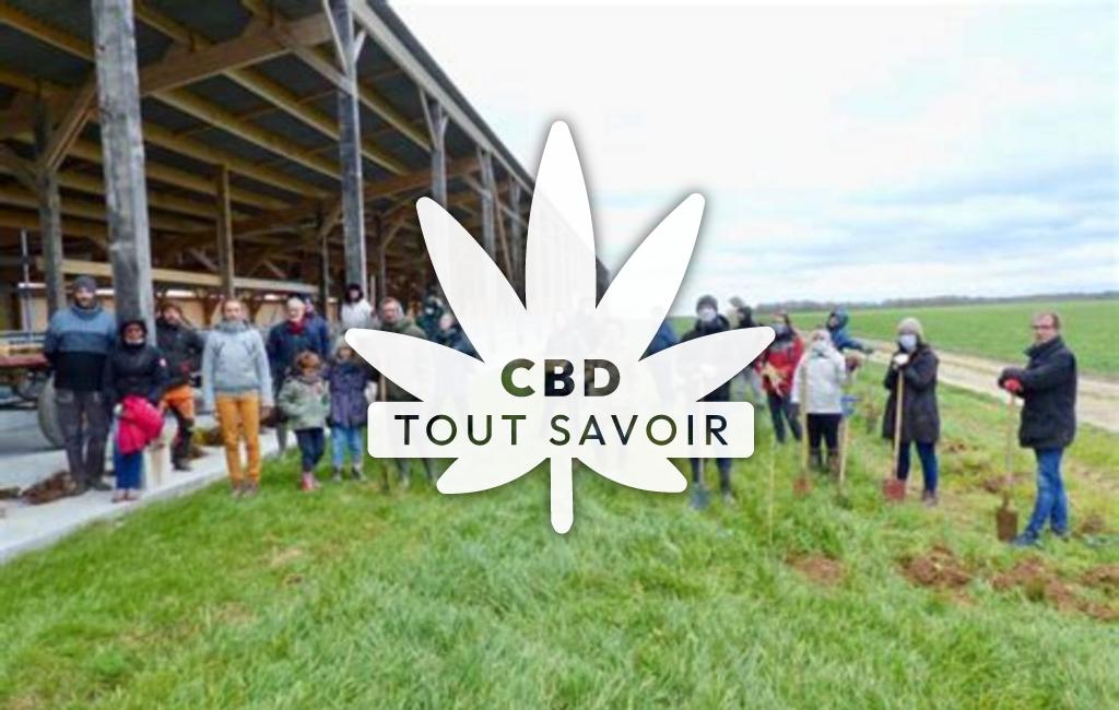 Village à Heubecourt-Haricourt avec feuille Cannabis CBD