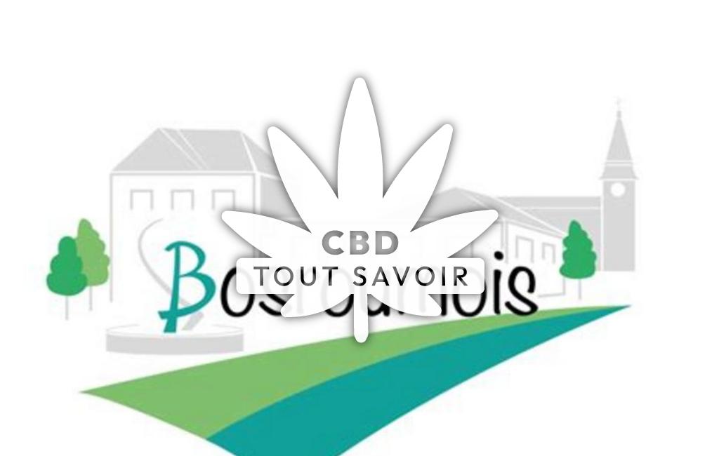 Village à Bosroumois avec feuille Cannabis CBD