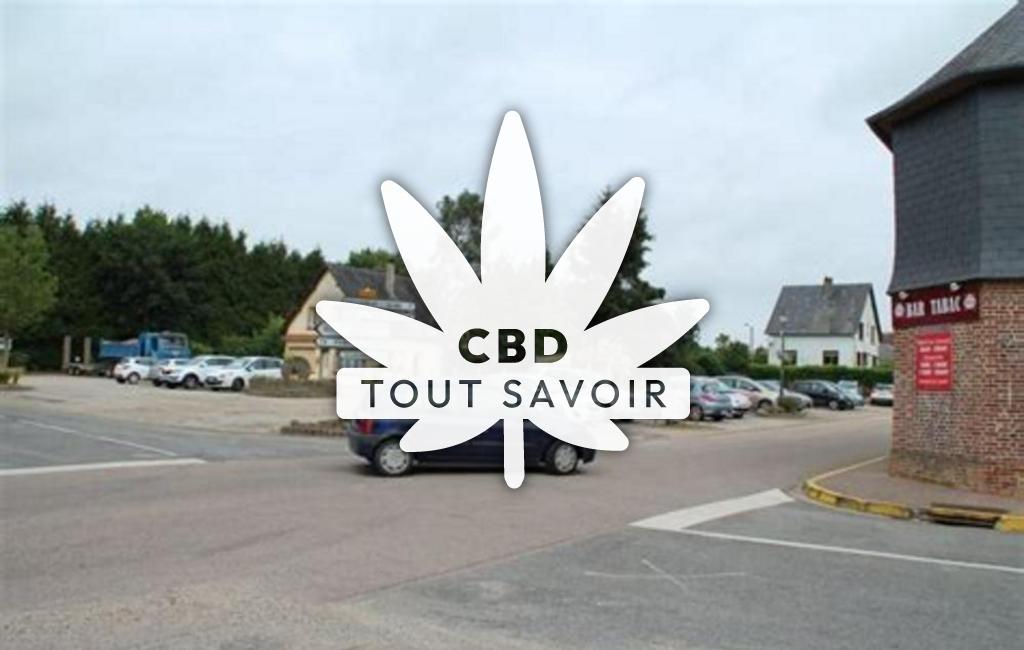 Village à Trouville-la-Haule avec feuille Cannabis CBD