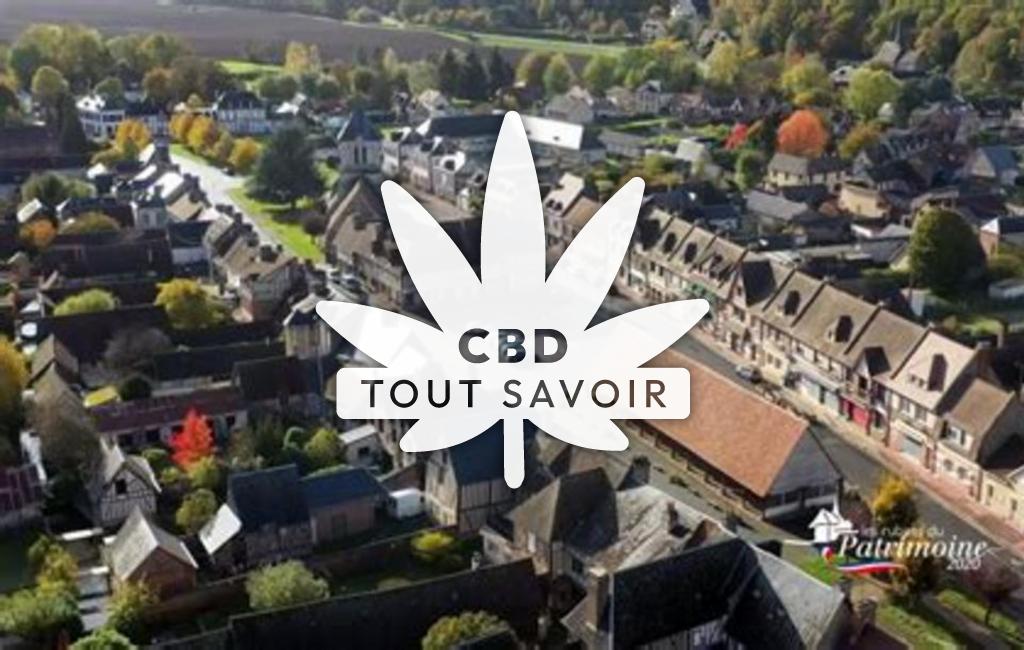 Village à La-Ferriere-sur-Risle avec feuille Cannabis CBD