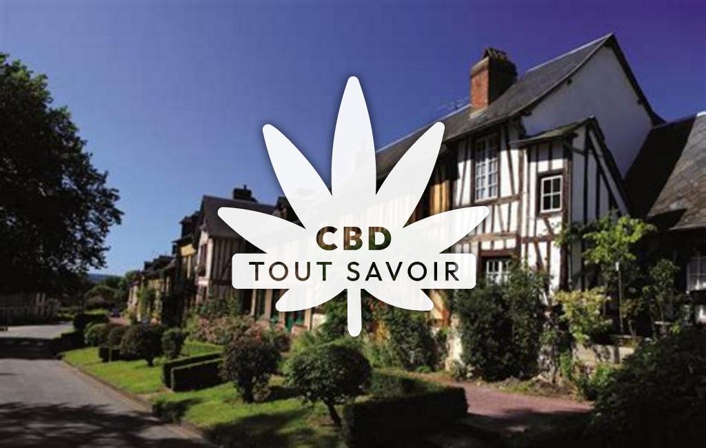 Village à Le-Bec-Hellouin avec feuille Cannabis CBD