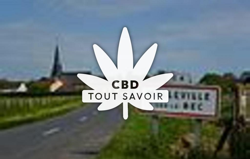 Village à Malleville-sur-le-Bec avec feuille Cannabis CBD