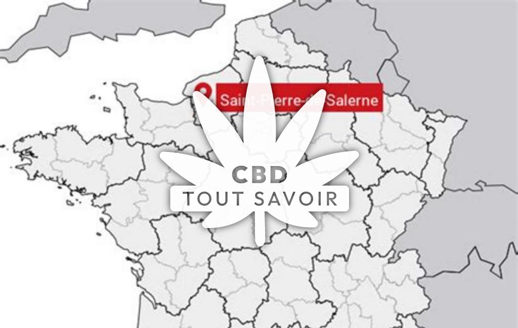 Village à Saint-Pierre-de-Salerne avec feuille Cannabis CBD