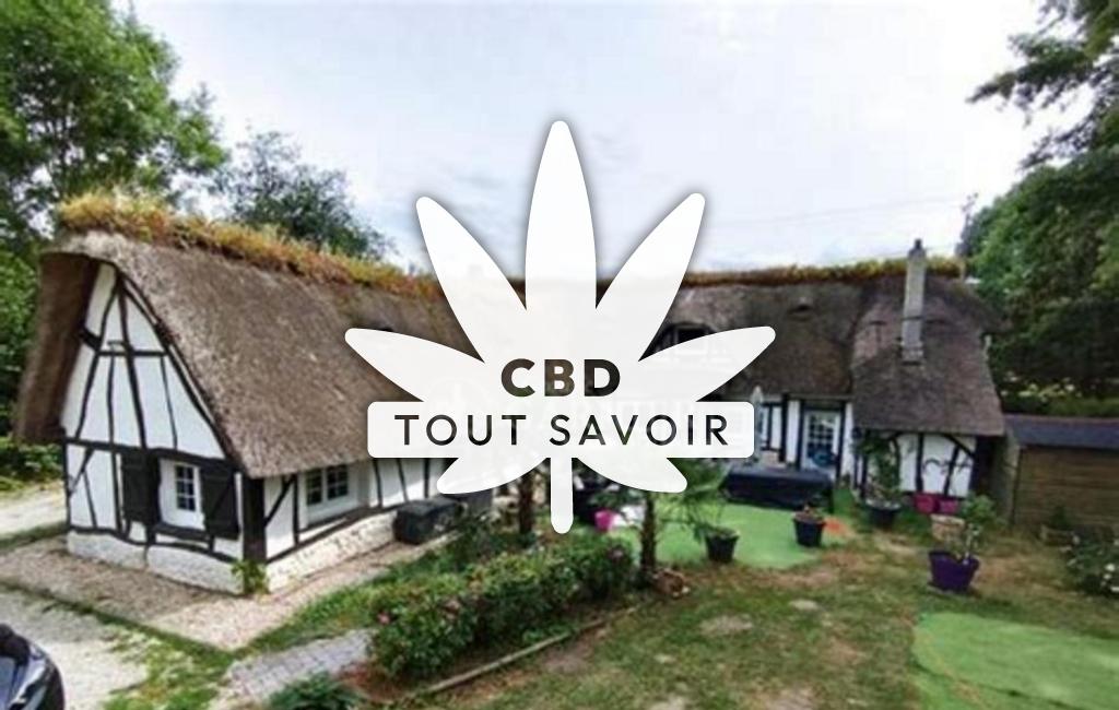 Village à Brosville avec feuille Cannabis CBD
