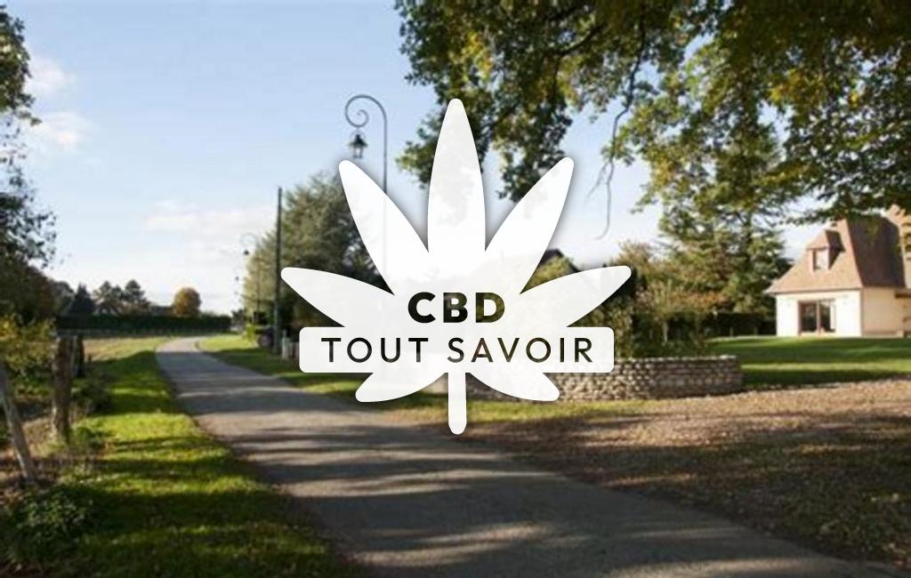 Village à Cierrey avec feuille Cannabis CBD