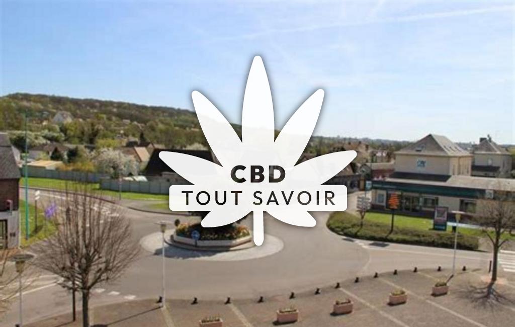 Village à Gravigny avec feuille Cannabis CBD