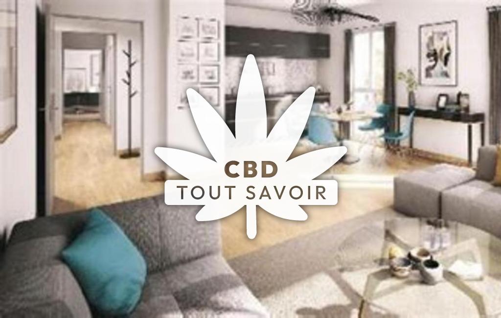 Village à Pierres avec feuille Cannabis CBD