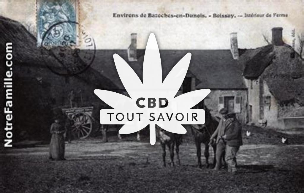 Village à Bazoches-en-Dunois avec feuille Cannabis CBD