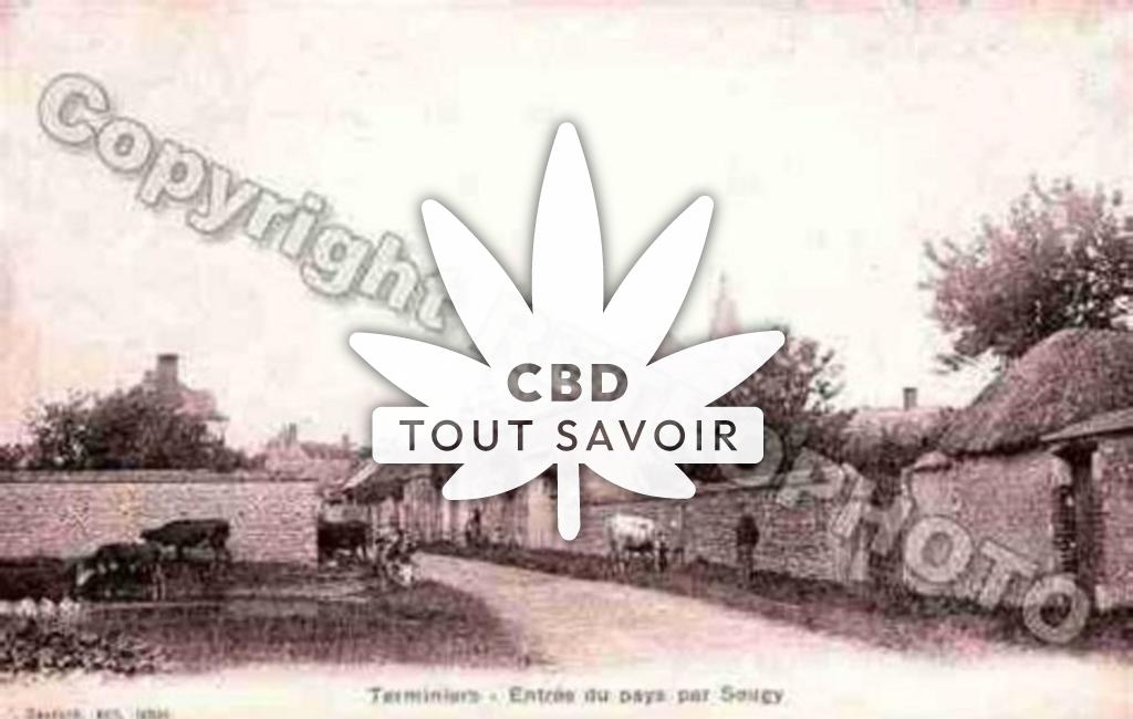 Village à Terminiers avec feuille Cannabis CBD