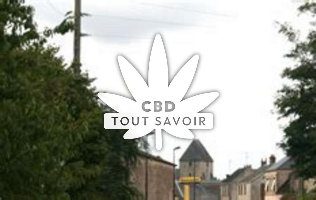 Village à Boisville-la-Saint-Pere avec feuille Cannabis CBD
