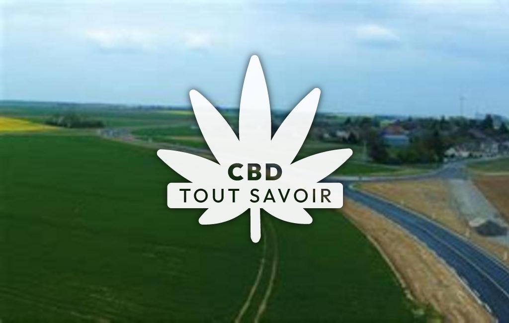 Village à Reclainville avec feuille Cannabis CBD