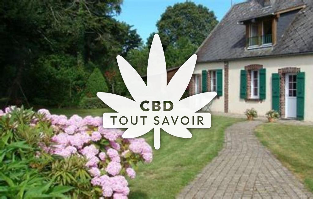 Village à Dampierre-sous-Brou avec feuille Cannabis CBD