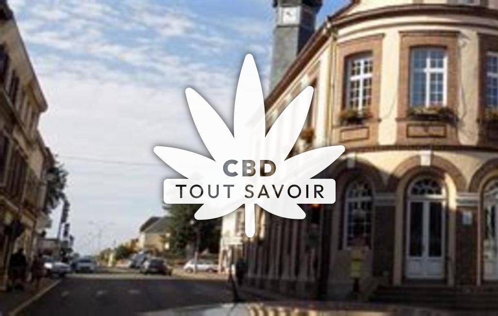 Village à Chateauneuf-en-Thymerais avec feuille Cannabis CBD