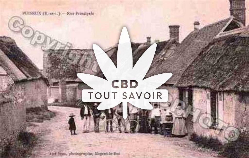 Village à Puiseux avec feuille Cannabis CBD