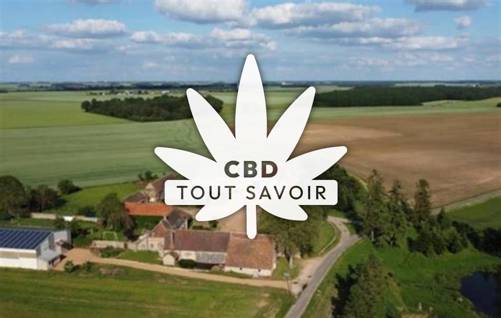 Village à Orrouer avec feuille Cannabis CBD